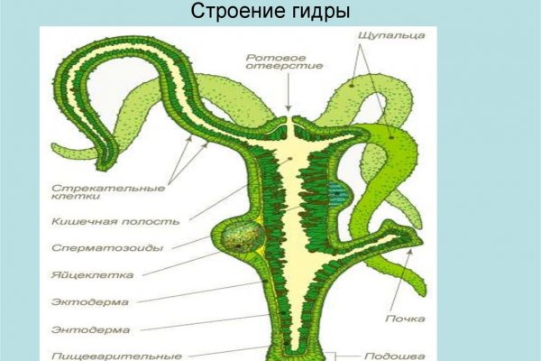 Вход на кракен зеркало