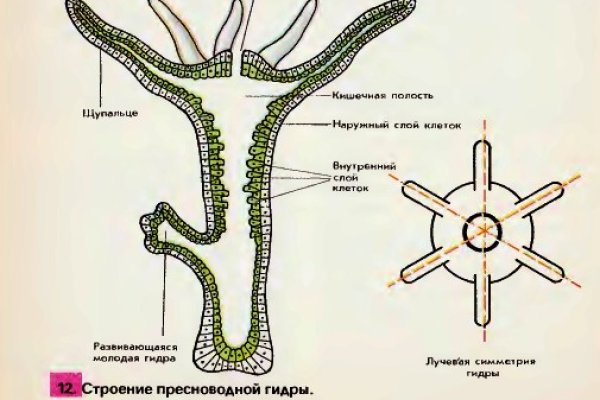 Кракен сайт регистрация